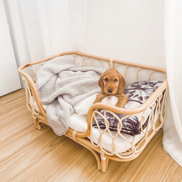 Handmade Rattan Cane Woven Pet Bed For Dogs