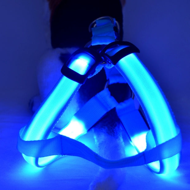 LED Luminous Dog Chest Harness