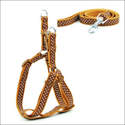 Dog Leashes Chest Straps, Small and Medium-Sized Dogs