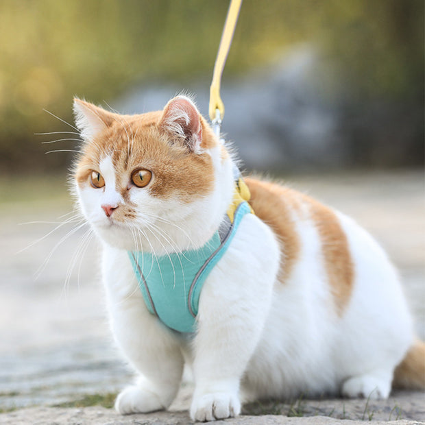 Cat Vest-Style Chest Harness Cute