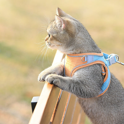 Cat Vest-Style Chest Harness Cute