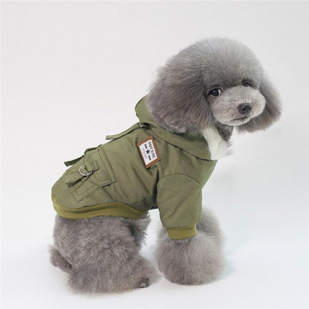 Cap dog coat