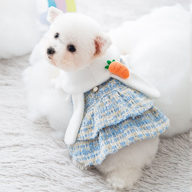 New skirt dress autumn and winter dog woolen small general cat pet clothes