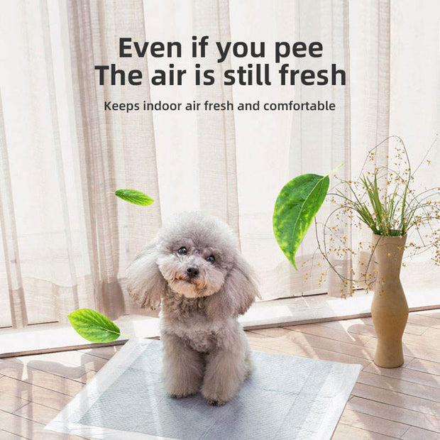 Pet Thick Deodorant Urine Pad