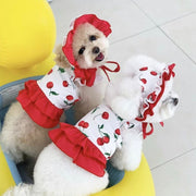 New Puppy Cute Cherry Swimsuit Dress