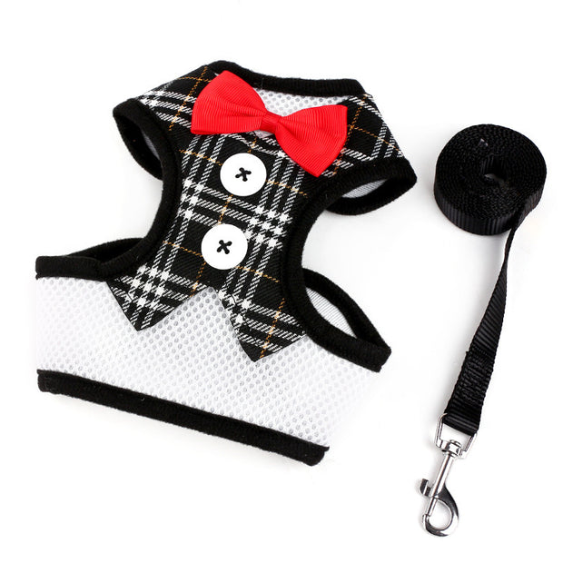 Small dog Teddy vest-style bow evening dress with leash