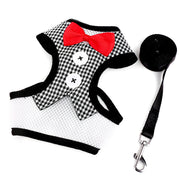 Small dog Teddy vest-style bow evening dress with leash