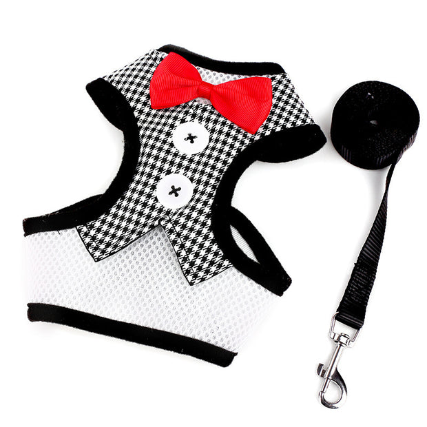 Small dog Teddy vest-style bow evening dress with leash