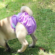 Dog Waterproof Menstrual Pants Velcro