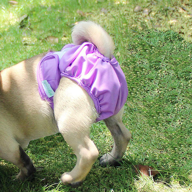 Dog Waterproof Menstrual Pants Velcro