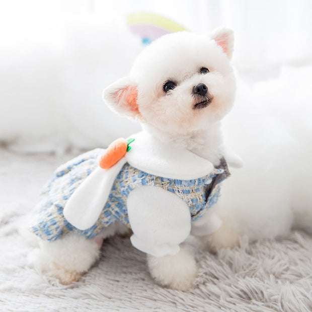 New skirt dress autumn and winter dog woolen small general cat pet clothes