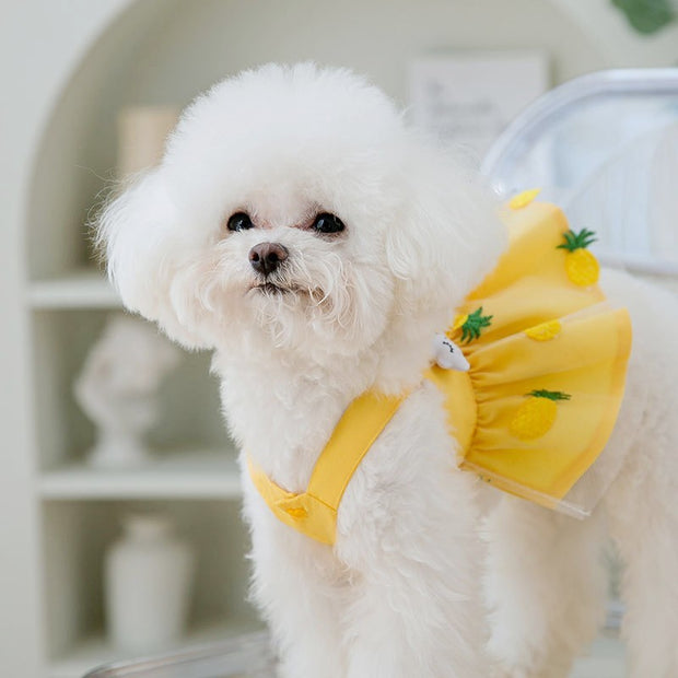 Summer Dog Dress For Small Dogs Luxury Dog Clothes Chihuahua French Bichon Dog Costume Pet Clothing Dog Vest Puppy Skirt