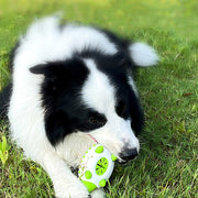 Pet Dog toy Interactive leaking food for small large Dogs