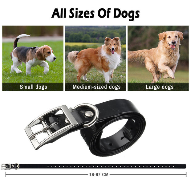 Wireless Electric Dog Fence System Waterproof And Vibration