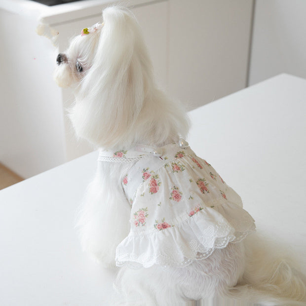 Small Town Flower Print Lace Dog Skirt