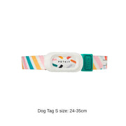 Smart Pet Collar Petkit GPS